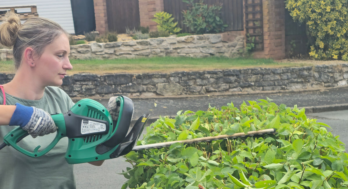 Hedge trimming